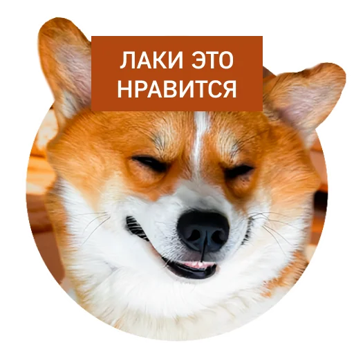 ☺️ Стикер «Lucky FSK» для Telegram