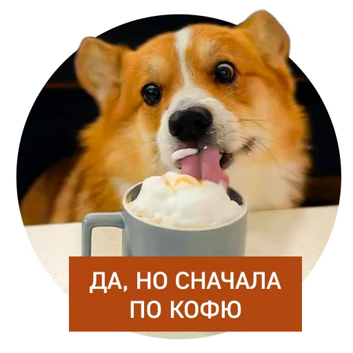 👍 Стикер «Lucky FSK» для Telegram