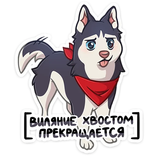 🐺 Стикер «Неугомонный и общительный хаски Лаки ворвётся в вашу беседу, даже когда его не звали&;» для Telegram