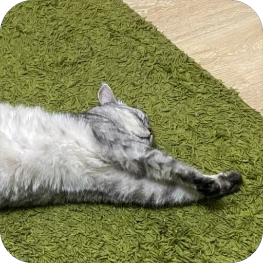 😴 Стикер «люсик пусик» для Telegram