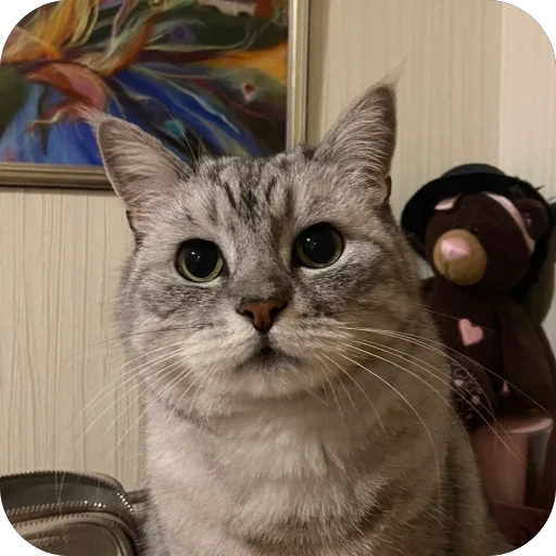 🫥 Стикер «люсик пусик» для Telegram