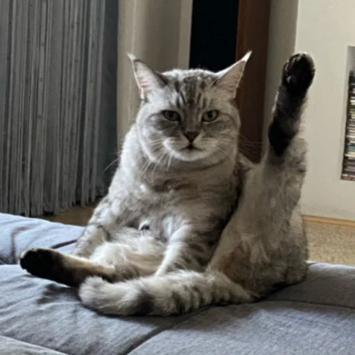 🐈 Стикер «люсик пусик» для Telegram