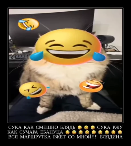 🤣 Стикер «Luna the Oriental Cat» для Telegram