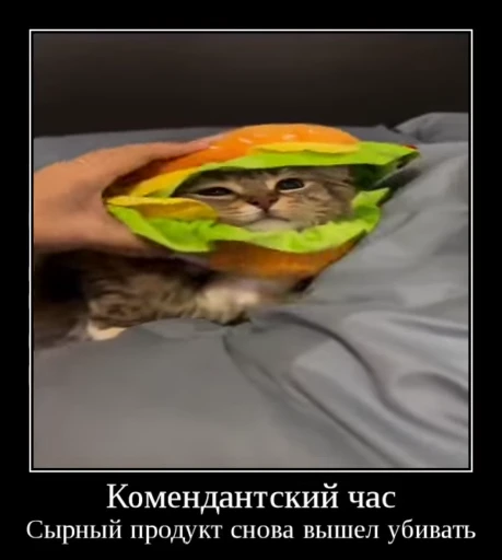 ⚡ Стикер «Luna the Oriental Cat» для Telegram