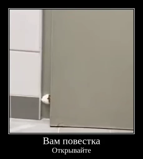 ⚡ Стикер «Luna the Oriental Cat» для Telegram