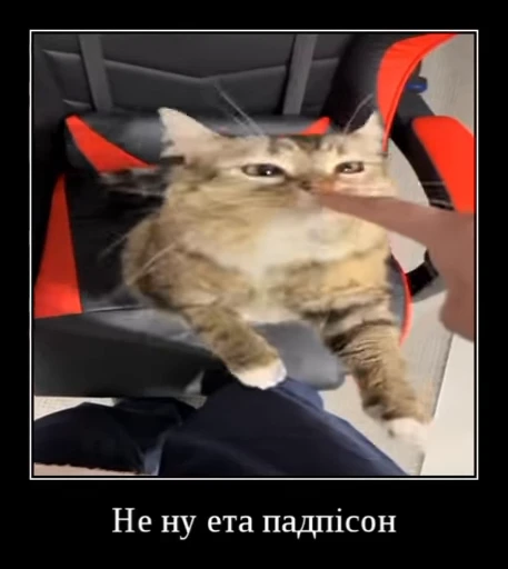 🌟 Стикер «Luna the Oriental Cat» для Telegram
