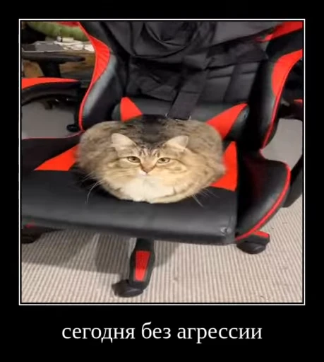 🌟 Стикер «Luna the Oriental Cat» для Telegram