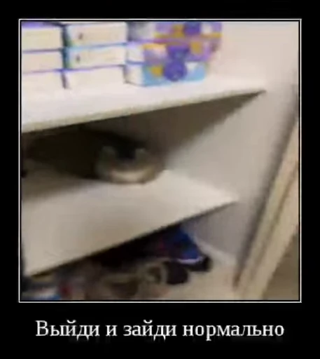 ⚡ Стикер «Luna the Oriental Cat» для Telegram