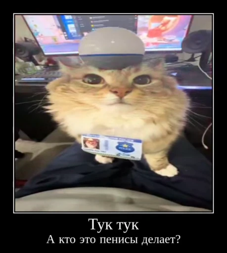 ⚡ Стикер «Luna the Oriental Cat» для Telegram
