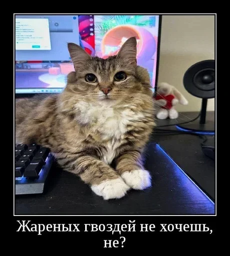 ⚡ Стикер «Luna the Oriental Cat» для Telegram