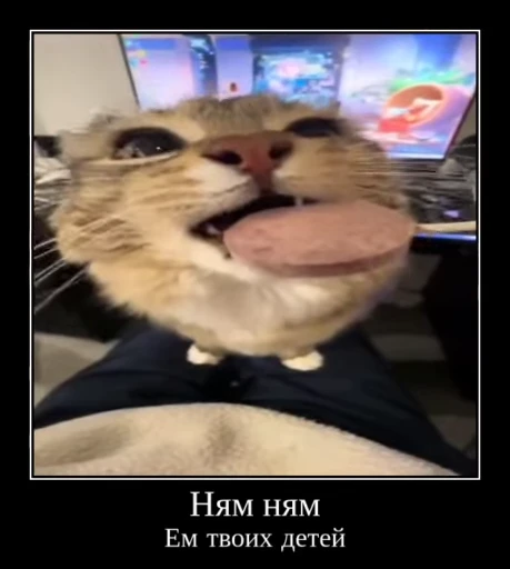 ⚡ Стикер «Luna the Oriental Cat» для Telegram