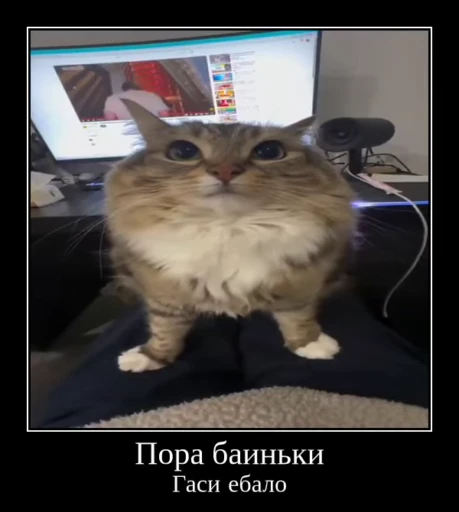 🌟 Стикер «Luna the Oriental Cat» для Telegram
