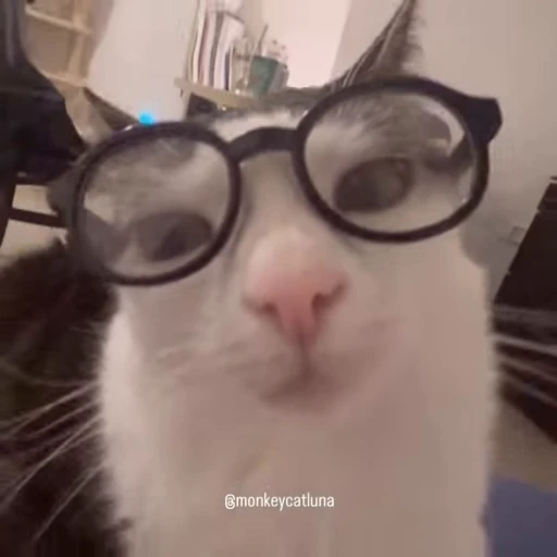 🤓 Стикер «Луна» для Telegram