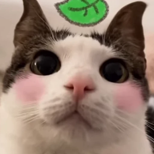 😸 Стикер «Луна» для Telegram