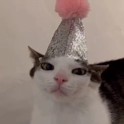 🥳 Стикер «Луна» для Telegram