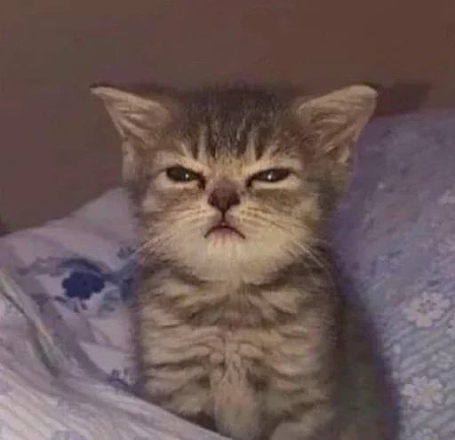 🥺 Стикер «котеки» для Telegram