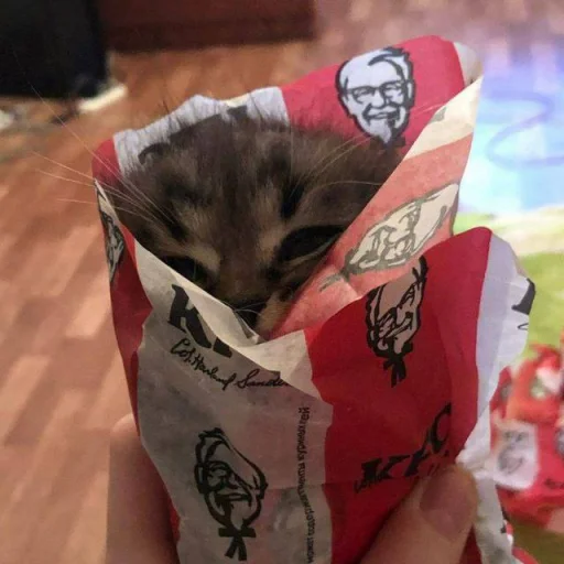😵‍💫 Стикер «котеки» для Telegram