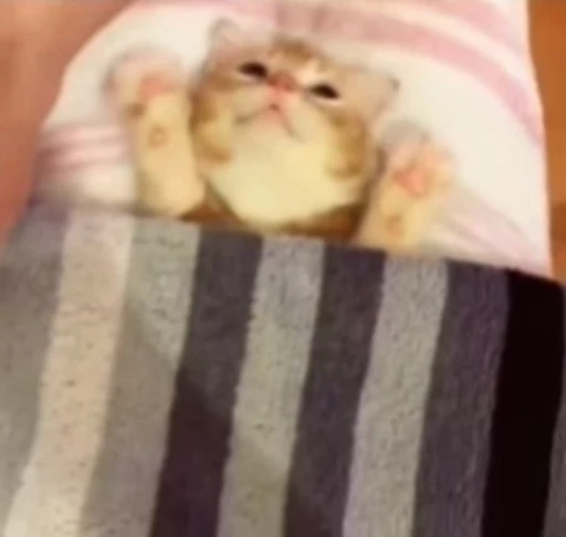 😴 Стикер «kitty cats set 2» для Telegram