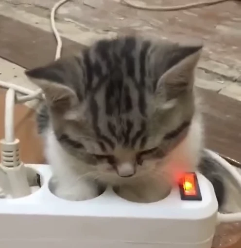 🌡 Стикер «kitty cats set 2» для Telegram
