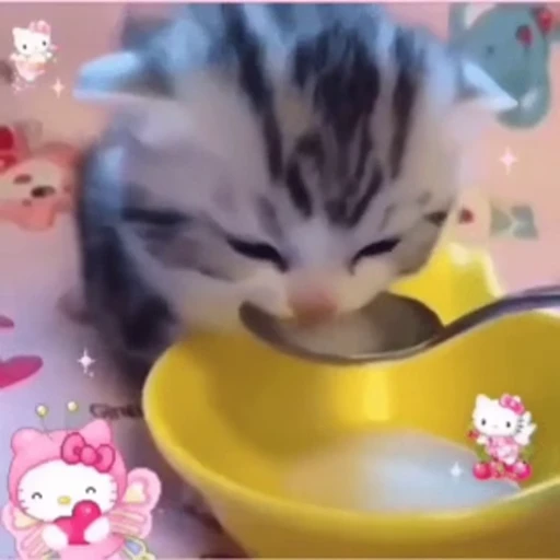 🥛 Стикер «kitty cats set 2» для Telegram