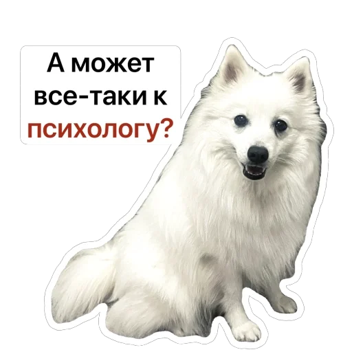 🧐 Стикер «Nixie the Spitz» для Telegram