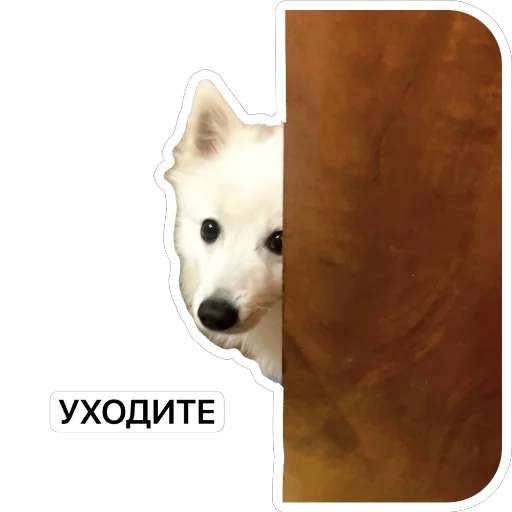 🚪 Стикер «Nixie the Spitz» для Telegram