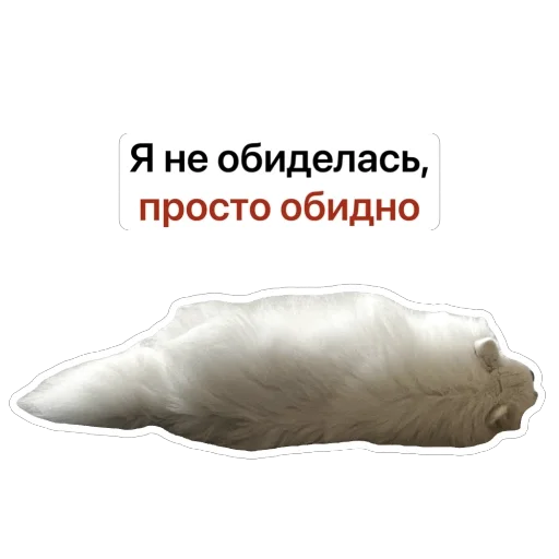 😒 Стикер «Nixie the Spitz» для Telegram