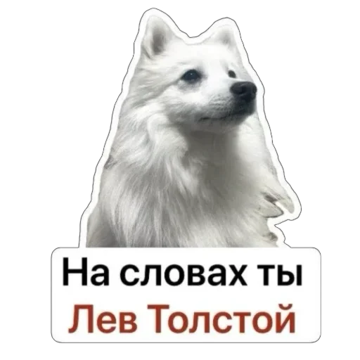 🧐 Стикер «Nixie the Spitz» для Telegram