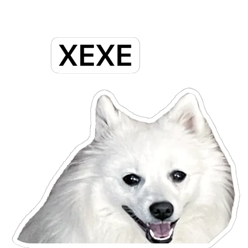 🤣 Стикер «Nixie the Spitz» для Telegram