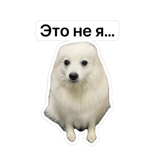 🫥 Стикер «Nixie the Spitz» для Telegram