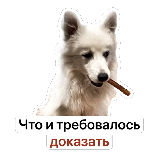 🕵️ Стикер «Nixie the Spitz» для Telegram