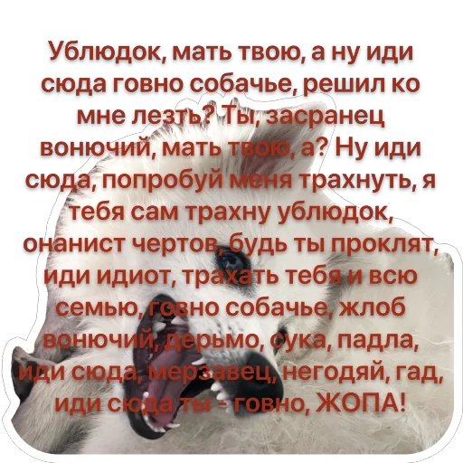 🤬 Стикер «Nixie the Spitz» для Telegram