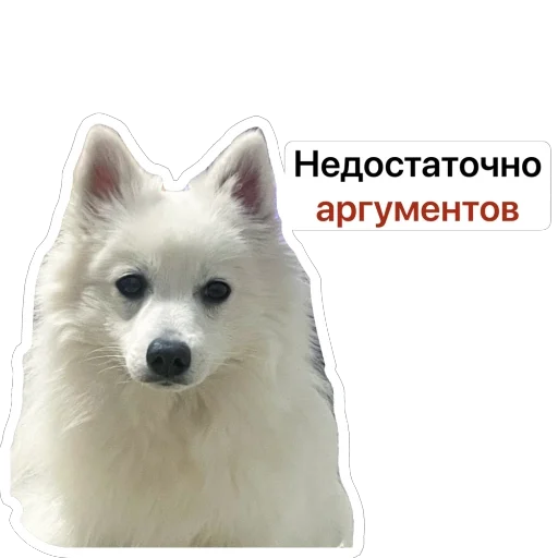 👎 Стикер «Nixie the Spitz» для Telegram