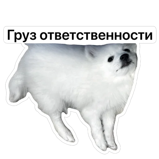 🥵 Стикер «Nixie the Spitz» для Telegram