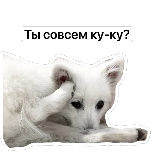 🤪 Стикер «Nixie the Spitz» для Telegram