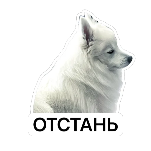 ⛔️ Стикер «Nixie the Spitz» для Telegram
