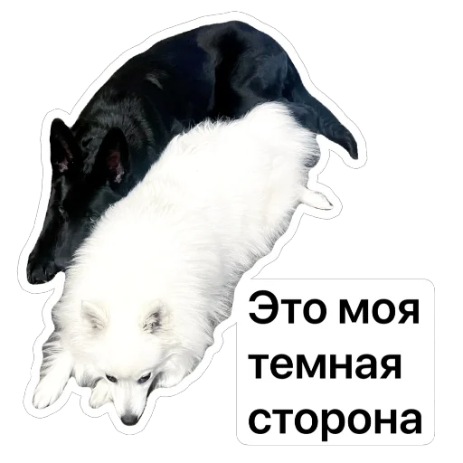 🌚 Стикер «Nixie the Spitz» для Telegram