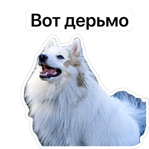 💩 Стикер «Nixie the Spitz» для Telegram