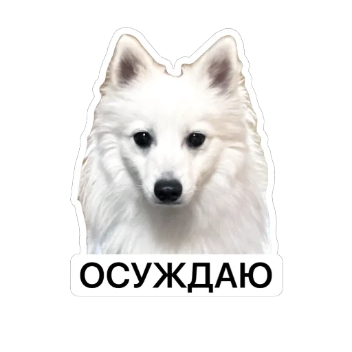 😐 Стикер «Nixie the Spitz» для Telegram