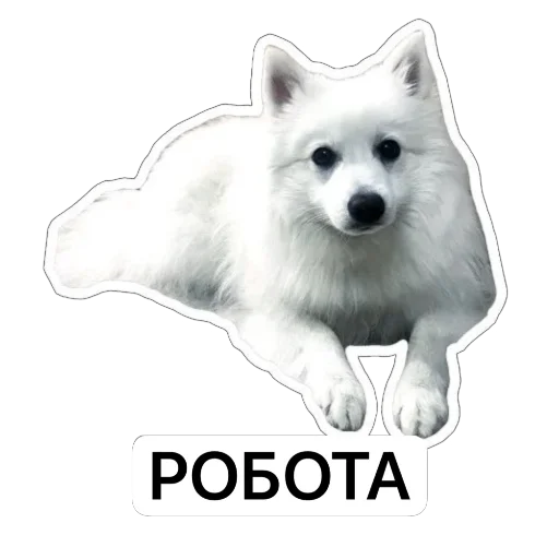👨‍💻 Стикер «Nixie the Spitz» для Telegram