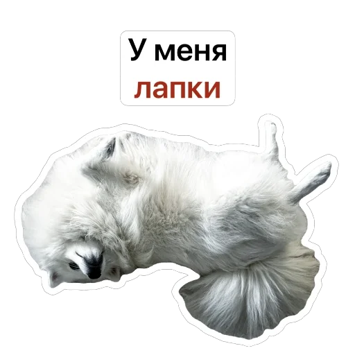 🐾 Стикер «Nixie the Spitz» для Telegram