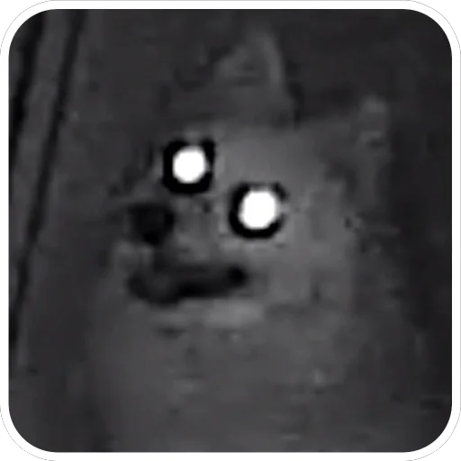 😱 Стикер «Nixie the Spitz» для Telegram