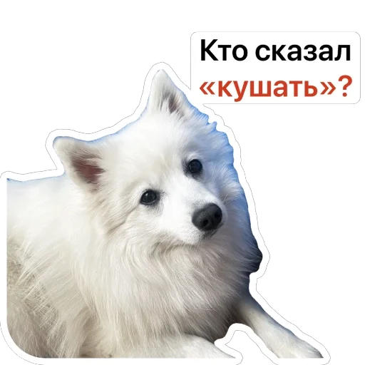 🍔 Стикер «Nixie the Spitz» для Telegram
