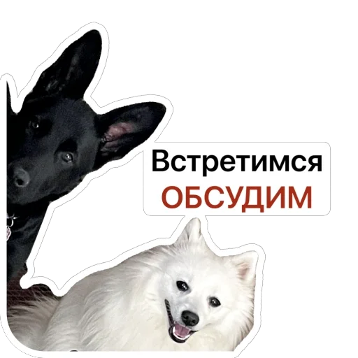 🐀 Стикер «Nixie the Spitz» для Telegram