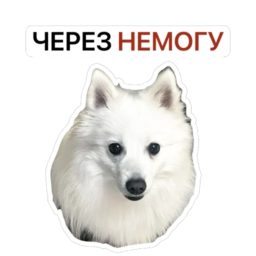 👍 Стикер «Nixie the Spitz» для Telegram
