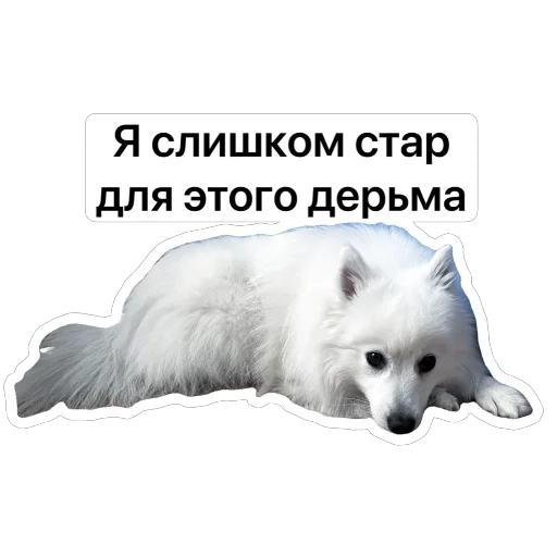 😒 Стикер «Nixie the Spitz» для Telegram