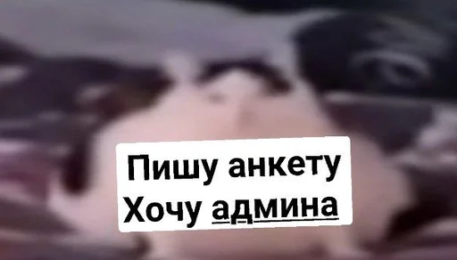 🗣 Стикер «LyapoTanya» для Telegram