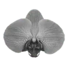 Стикер 46 Lys Blancs