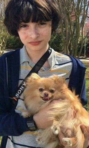 🐶 Стикер «Арчик» для Telegram