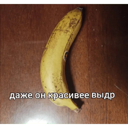 🤮 Стикер «×КринжСтикеры× 2» для Telegram